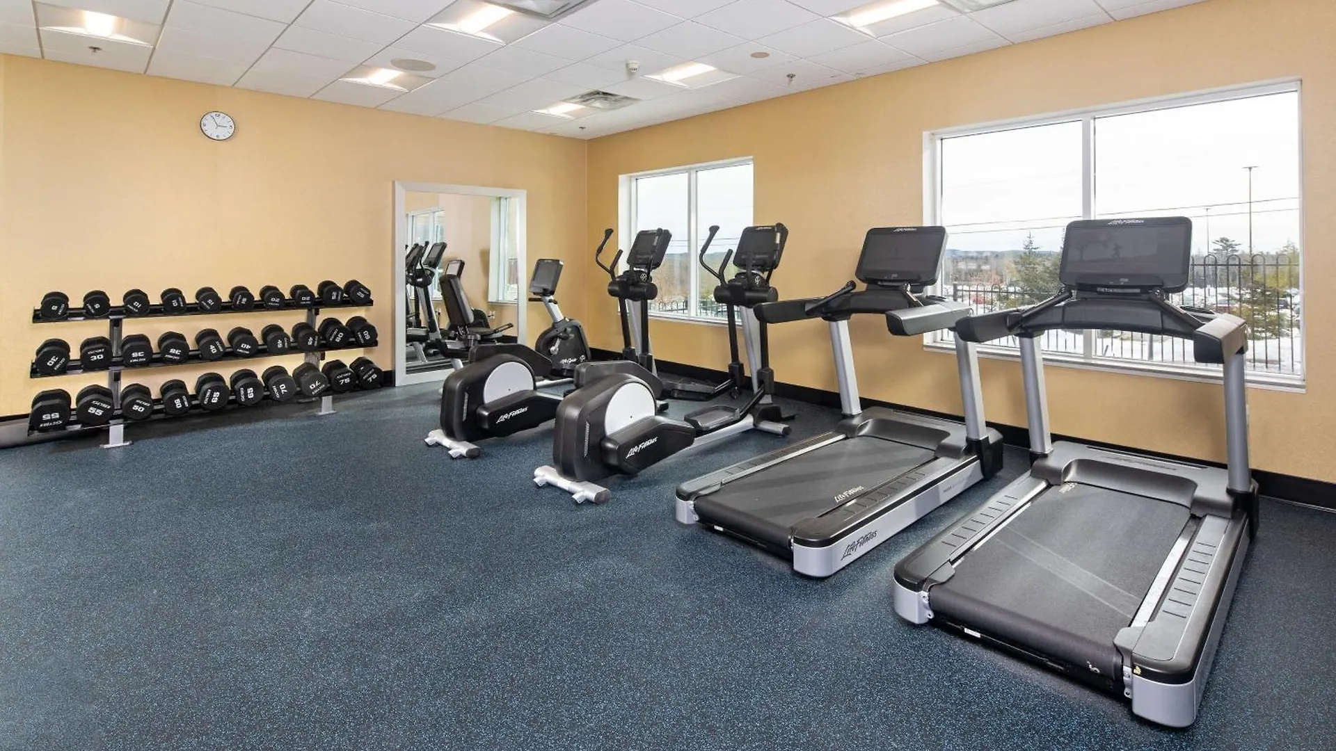 Hilton Garden Inn Halifax Airport Enfield Canada