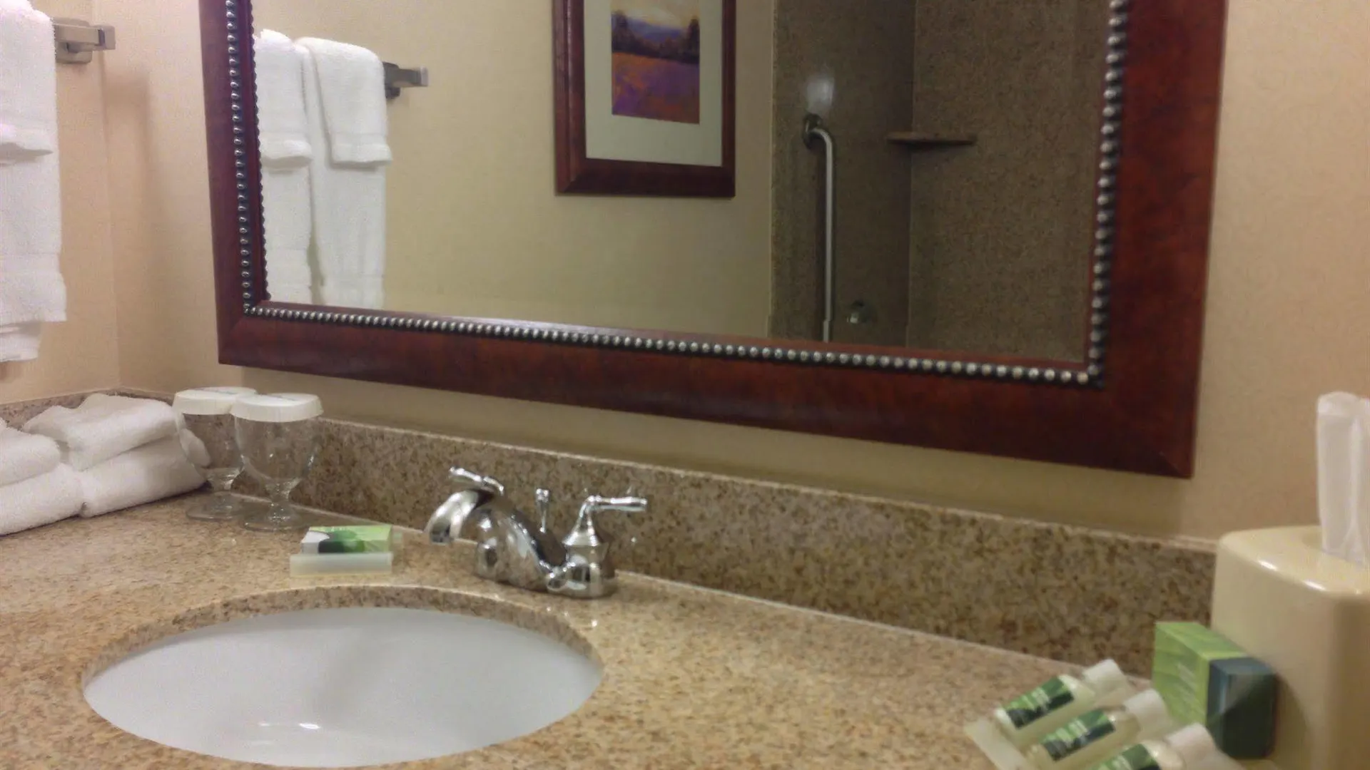 Hotel Hilton Garden Inn Halifax Airport Enfield